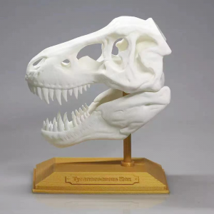 3d 플라스틱 인쇄 서비스, Sls 3d 프린터 원형